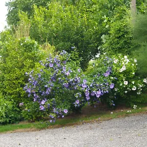  Bed and breakfast D'hotes La Loubatais
